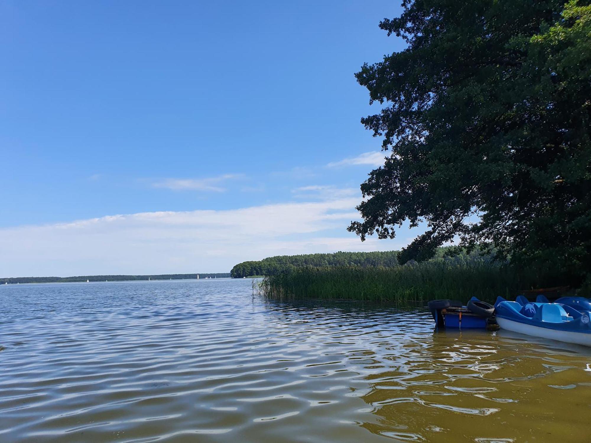 Apartment Zapach Lasu Naturalne